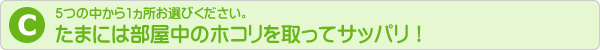 片付け、照明器具、備品のホコリ取り、床など